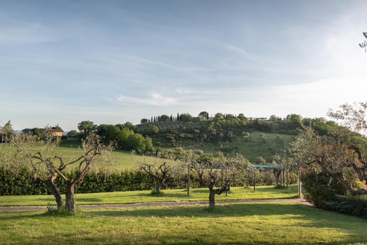 Residenza Il Falchetto Ασίζη Εξωτερικό φωτογραφία