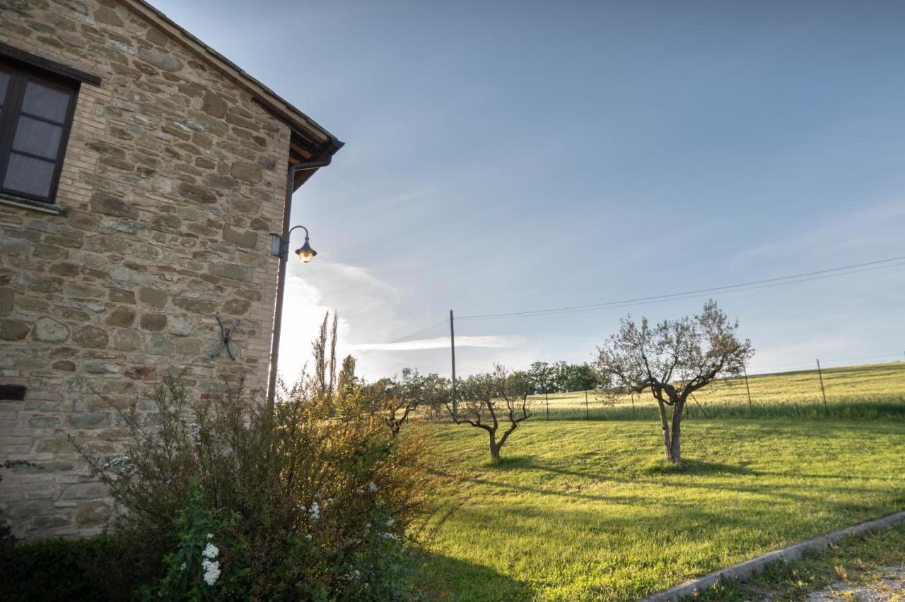 Residenza Il Falchetto Ασίζη Εξωτερικό φωτογραφία